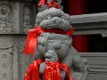 Shanghai (121)